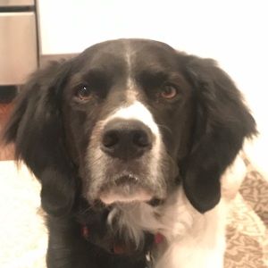 Meet your Posher, Darcie